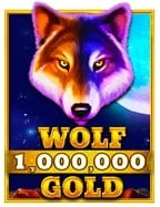 เล่น ไพ่ พนัน ที่ดีที่สุดในรูปแบบทดลอง